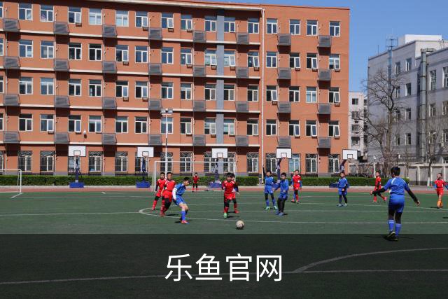 乐鱼官网公司介绍图片